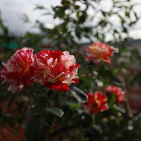 Homestay Doc Tinh Dalat Eksteriør bilde