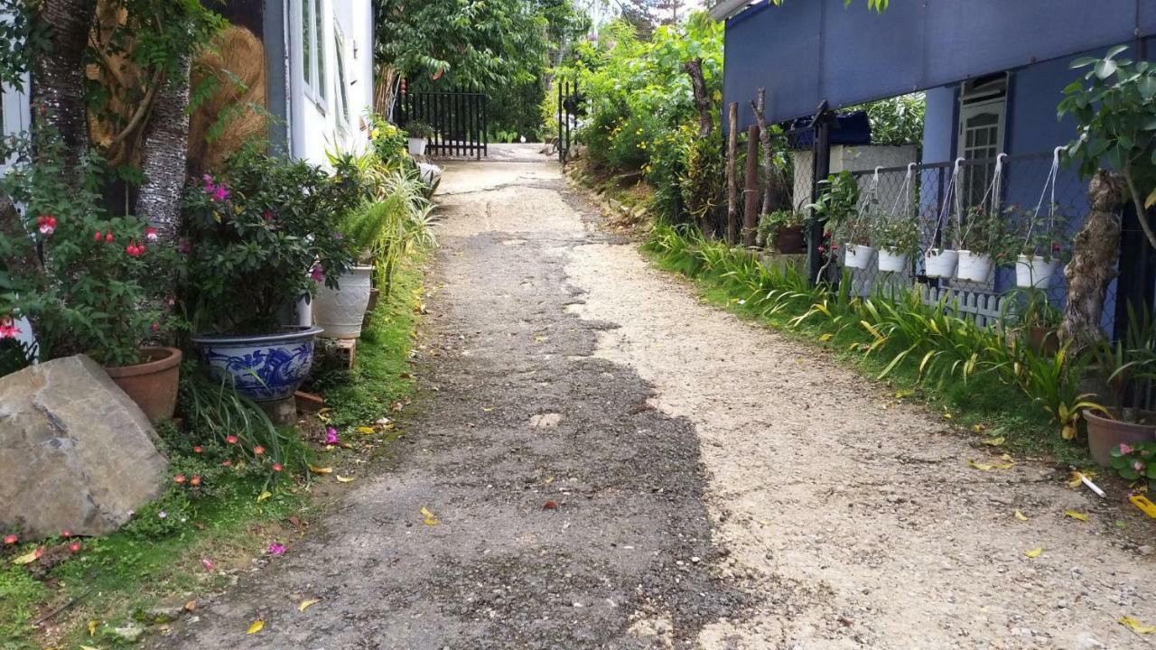 Homestay Doc Tinh Dalat Eksteriør bilde
